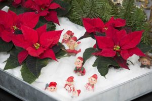 2016_Weihnachten_Schneelandschaft